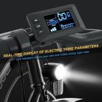 NAIZEA 350W 36V Electric Trike, 24" 3-Wheel Bike