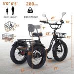 NARRAK 750W Electric Tricycle with Fat Tires