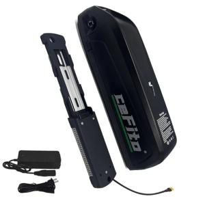 48V Lithium Ion Ebike Battery Pack with Charger