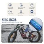 48V Lithium Ion Ebike Battery Pack with Charger