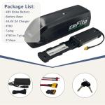 48V Lithium Ion Ebike Battery Pack with Charger