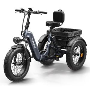 Adult Electric Trike with 750W Motor, 48V Battery