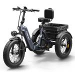 Adult Electric Trike with 750W Motor, 48V Battery