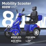 Heavy Duty 800W All-Terrain Electric Mobility Scooter