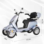 Dvsripa Heavy-Duty All-Terrain Mobility Scooter