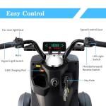 Dvsripa Heavy-Duty All-Terrain Mobility Scooter