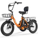 ESKUTE Folding Electric Trike with Fat Tires