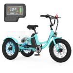 MOONCOOL 16" Fat Tire Electric Trike 250W