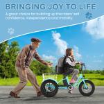 MOONCOOL 16" Fat Tire Electric Trike 250W