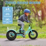 MOONCOOL 16" Fat Tire Electric Trike 250W