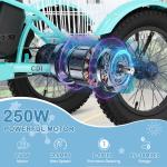 MOONCOOL 16" Fat Tire Electric Trike 250W