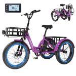 MOONCOOL Foldable Electric Tricycle for Adults