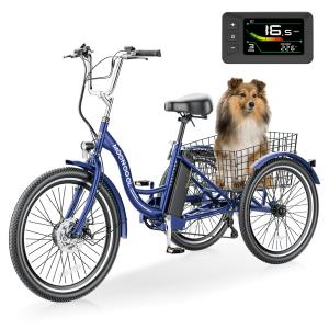 MOONCOOL 500W Electric Tricycle with 7 Speeds
