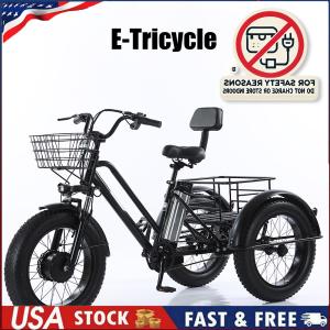 500W 48V Electric Snow Tricycle with Fat Tires