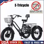 500W 48V Electric Snow Tricycle with Fat Tires