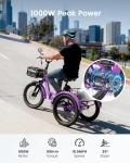 MOONCOOL Foldable Electric Tricycle for Adults