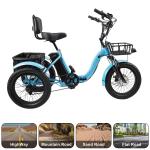 48V 13AH 350W Electric Trike with Display