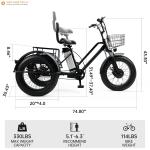 500W 48V Electric Snow Tricycle with Fat Tires