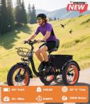 NOMIGO Folding Electric Tricycle with 500W Motor