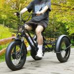 500W 48V Electric Snow Tricycle with Fat Tires