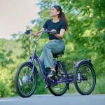 MOONCOOL 500W Electric Tricycle with 7 Speeds