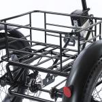 500W 48V Electric Snow Tricycle with Fat Tires