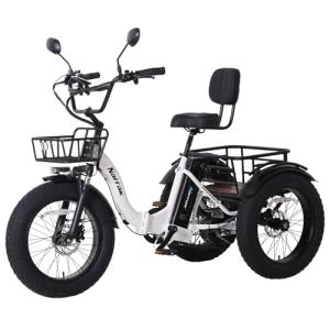 Narrak Electric Folding Tricycle with 750W Motor