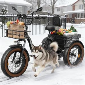 960W Electric Trike for Adults with Fat Tires