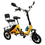 Bruce & Shark Foldable 3-Wheel Electric Bike