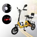 Bruce & Shark Foldable 3-Wheel Electric Bike