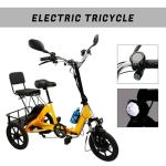 Bruce & Shark Foldable 3-Wheel Electric Bike