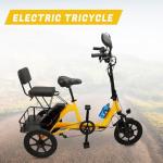 Bruce & Shark Foldable 3-Wheel Electric Bike