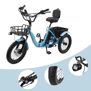 48V 350W Electric Tricycle with IPX7 Display