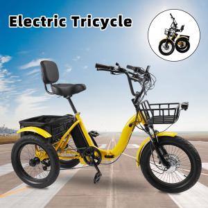 48V 350W 7-Speed Electric Tricycle with Display