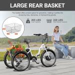 ANCHEER 600W Folding Electric Tricycle for Adults