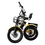 48V 350W 7-Speed Electric Tricycle with Display