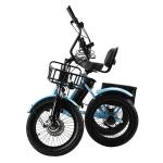 48V 350W Electric Tricycle with IPX7 Display