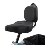 48V 350W Electric Tricycle with IPX7 Display