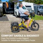 ADDMOTOR CITYTRI E-310 Folding Electric Trike