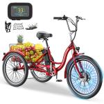 NAIZEA 24" 3-Wheel Electric Bike for Adults