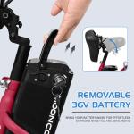 NAIZEA 24" 3-Wheel Electric Bike for Adults