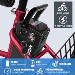 NAIZEA 24" 3-Wheel Electric Bike for Adults