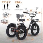 NARRAK 750W Electric Tricycle with Fat Tires