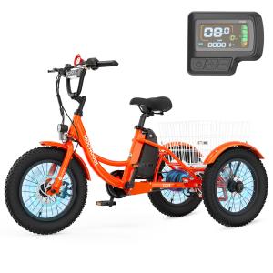 NAIZEA 3-Wheel Electric Tricycle with 250W Motor