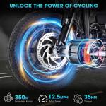 48V 350W Folding Electric Tricycle for Adults