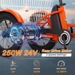 NAIZEA 3-Wheel Electric Tricycle with 250W Motor