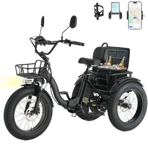 Skeri 750W Folding Electric Tricycle for Adults