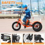NAIZEA 3-Wheel Electric Tricycle with 250W Motor