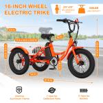 NAIZEA 3-Wheel Electric Tricycle with 250W Motor