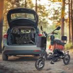 48V 350W Folding Electric Tricycle for Adults